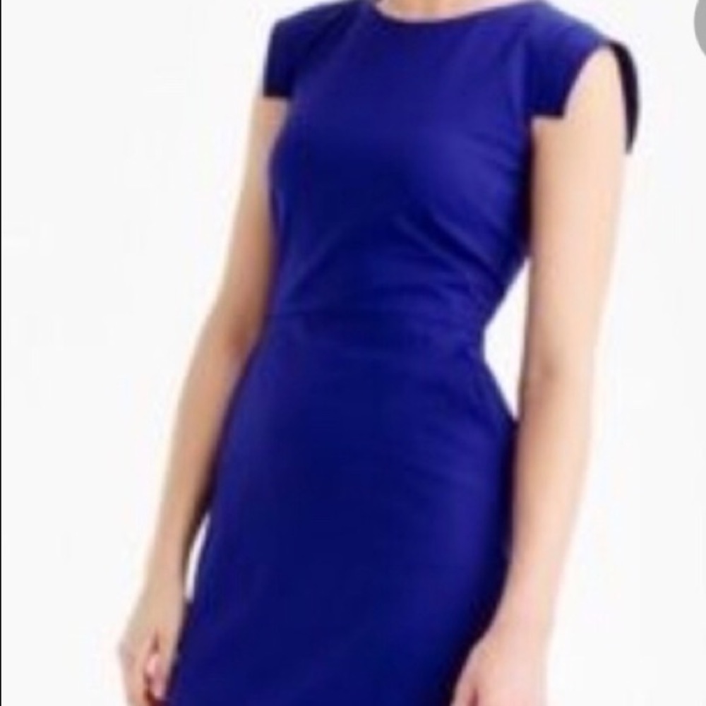 BNWT J. Crew Resume Dress